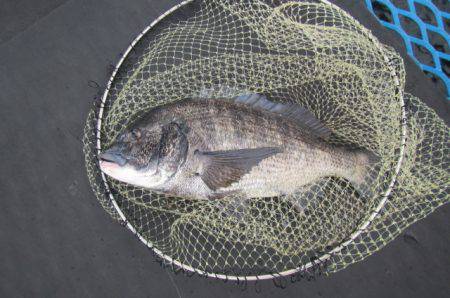 オリジナルメーカー海づり公園(市原市海づり…