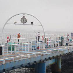 オリジナルメーカー海づり公園(市原市海づり施設) 釣果