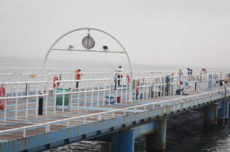 オリジナルメーカー海づり公園(市原市海づり施設) 釣果