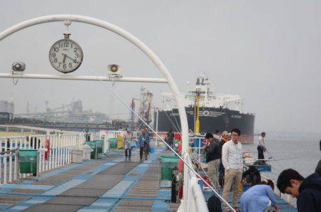 オリジナルメーカー海づり公園(市原市海づり施設) 釣果
