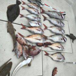 フィッシングガイド りょう 釣果