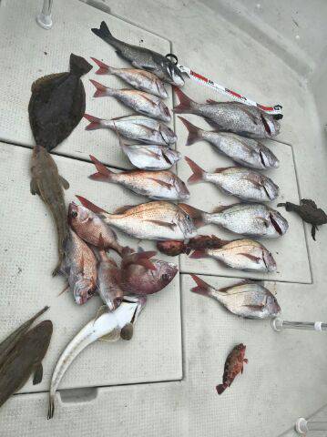 フィッシングガイド りょう 釣果