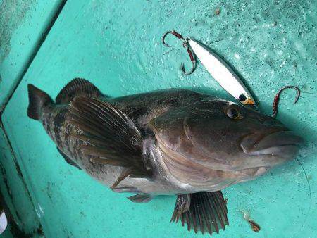 広進丸 釣果