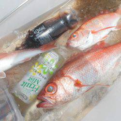 こうゆう丸 釣果