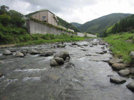 狩野川（狩野川漁業協同組合） 釣果