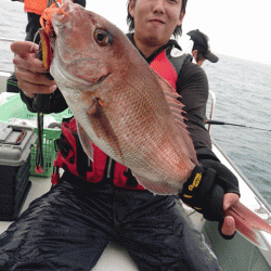 遊漁船ブルーウッズ 釣果