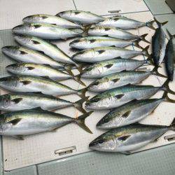 ふじしめ丸 釣果