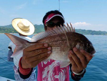 遊漁船 ニライカナイ 釣果