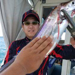 遊漁船 ニライカナイ 釣果