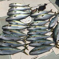 ふじしめ丸 釣果