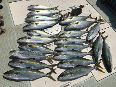 ふじしめ丸 釣果