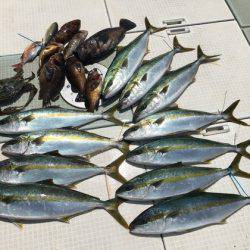 ふじしめ丸 釣果