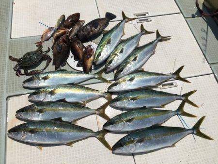 ふじしめ丸 釣果