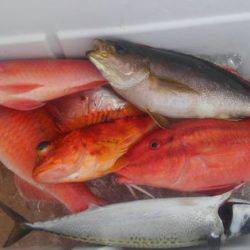 遊漁船 新鋭丸 釣果