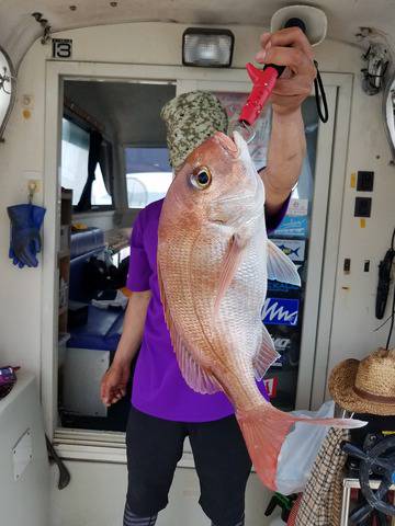 遊漁船　ニライカナイ 釣果