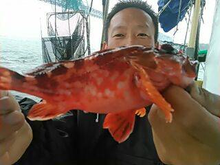 フィッシングガイド りょう 釣果