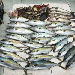 ふじしめ丸 釣果