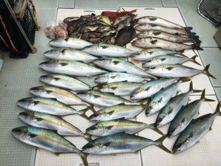 ふじしめ丸 釣果