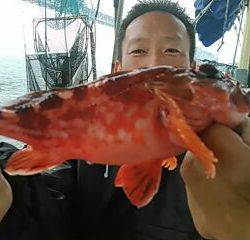 フィッシングガイド りょう 釣果