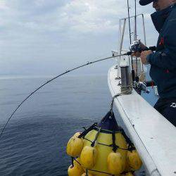 第五慶門丸 釣果