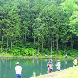 小菅トラウトガーデン 釣果