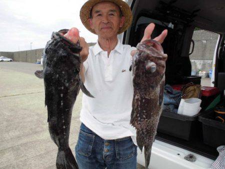 大進丸(新潟) 釣果