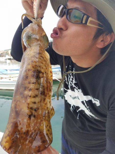 Magic（マジック） 釣果