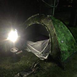 マラソン と釣り旅行