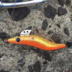 改造の成果！…？