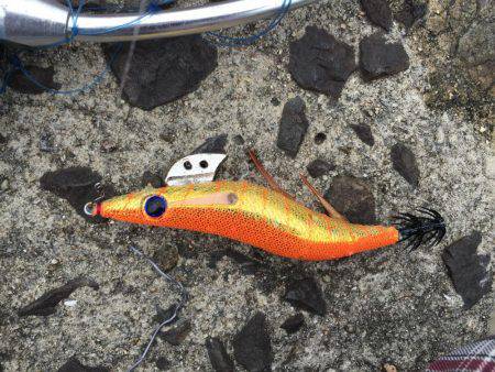 改造の成果！…？