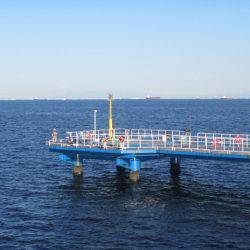 オリジナルメーカー海づり公園(市原市海づり施設) 釣果