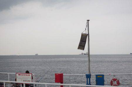 オリジナルメーカー海づり公園(市原市海づり施設) 釣果