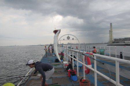 オリジナルメーカー海づり公園(市原市海づり施設) 釣果