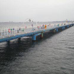オリジナルメーカー海づり公園(市原市海づり施設) 釣果
