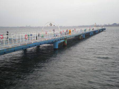 オリジナルメーカー海づり公園(市原市海づり施設) 釣果