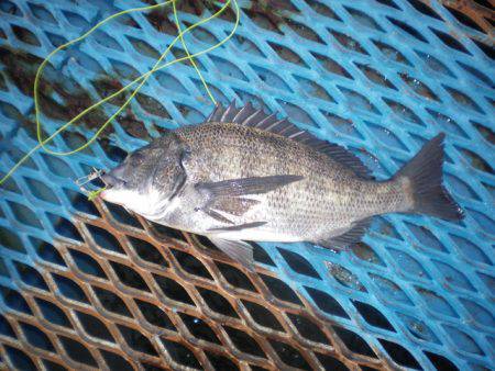 オリジナルメーカー海づり公園(市原市海づり…