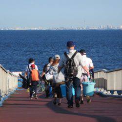 オリジナルメーカー海づり公園(市原市海づり施設) 釣果