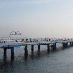 オリジナルメーカー海づり公園(市原市海づり施設) 釣果