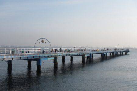 オリジナルメーカー海づり公園(市原市海づり施設) 釣果