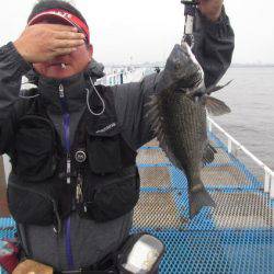 オリジナルメーカー海づり公園(市原市海づり施設) 釣果