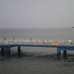 オリジナルメーカー海づり公園(市原市海づり施設) 釣果