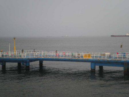 オリジナルメーカー海づり公園(市原市海づり施設) 釣果