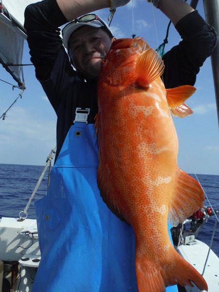 オーシャンパイオニア 釣果