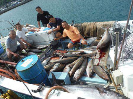 オーシャンパイオニア 釣果