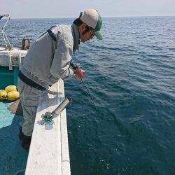 清和丸 釣果