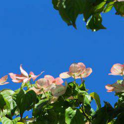 小菅トラウトガーデン 釣果