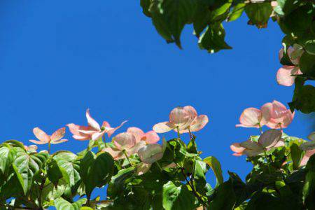 小菅トラウトガーデン 釣果