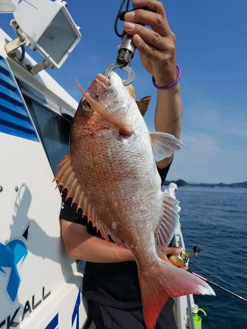 遊漁船　ニライカナイ 釣果