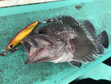 広進丸 釣果