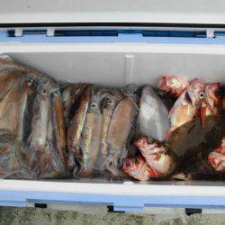 大進丸（新潟） 釣果